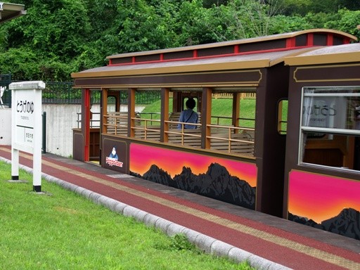 �V�F���p(�Ƃ����̂�w)