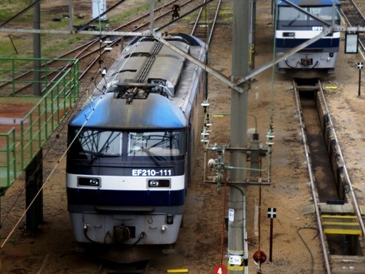 EF210-111(�V�ߌ��@�֋�)